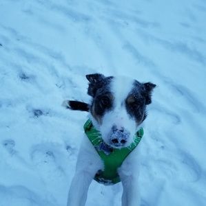 Meet your Posher, Mark